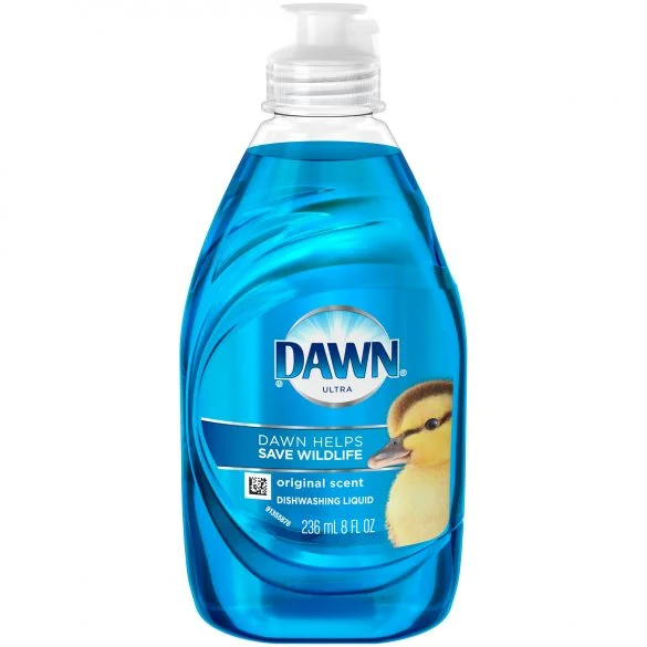 Euroart, com detergente Dawn, teve destaque na revista Household