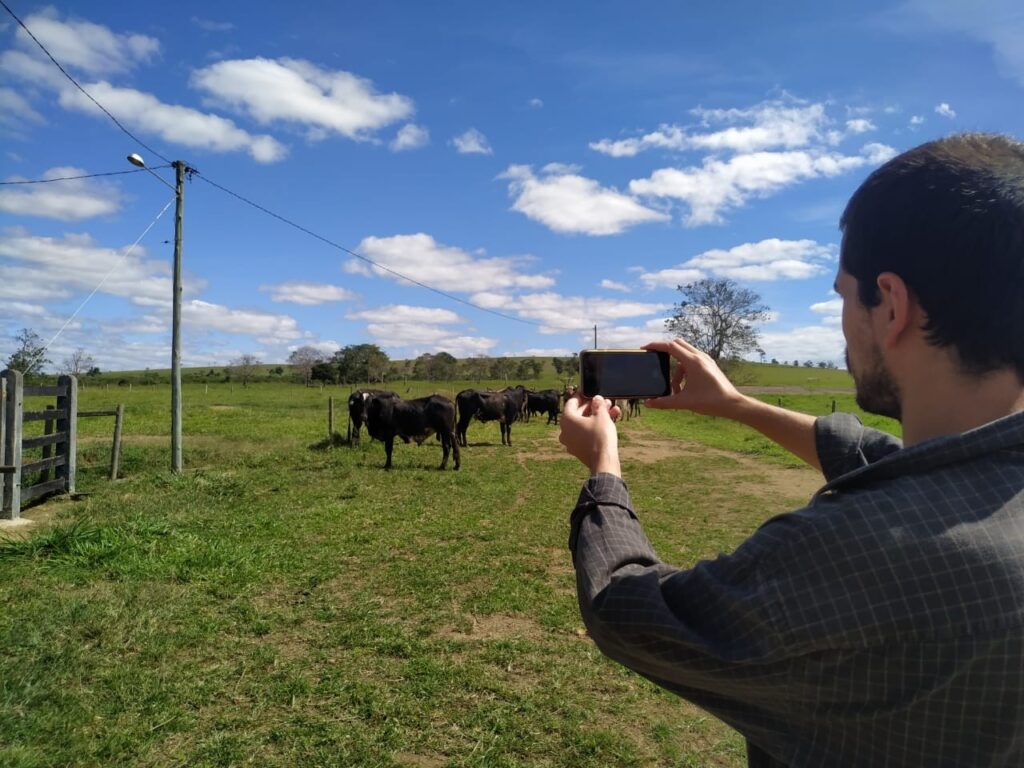 databoi divulgacao o globo