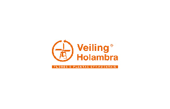 VeilingHolambra Cliente